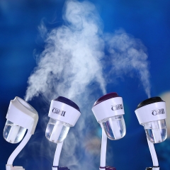 Car Aroma Diffuser/Mini Handheld Humidifier Portable Aromatherapy Mini Car Humidifier W/ Charger