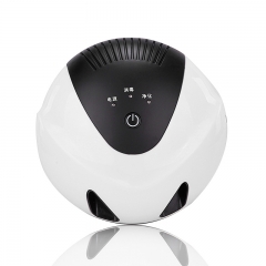 Portable Air Purifier