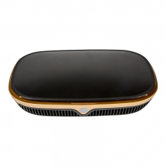 Air purifier for car and home